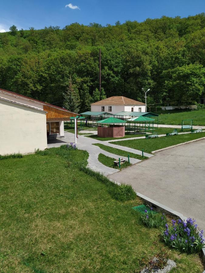 Aliq Hotel Cahkadzor Kültér fotó