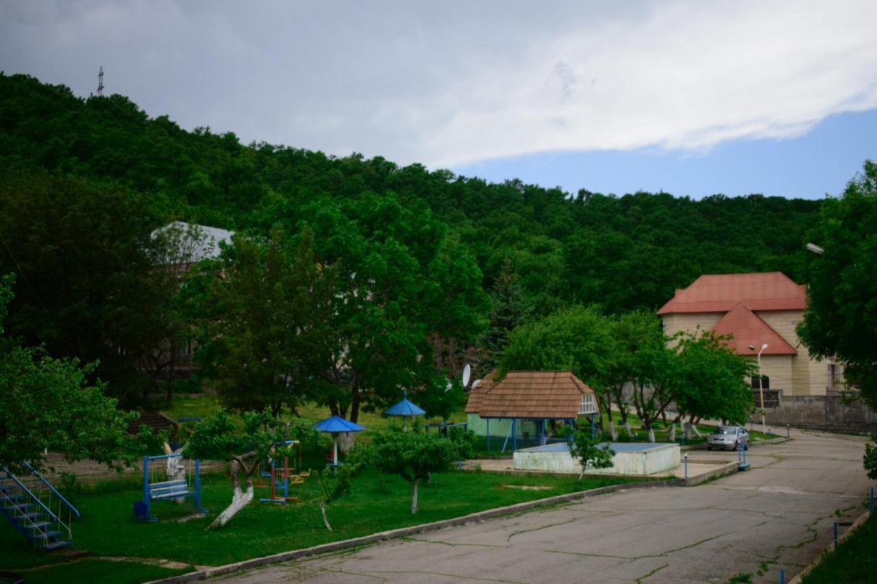 Aliq Hotel Cahkadzor Kültér fotó