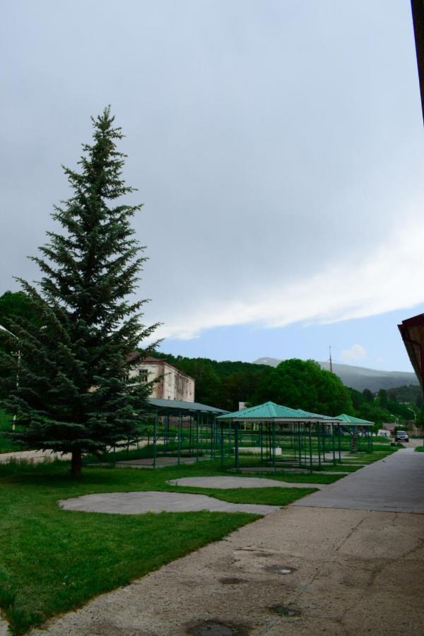 Aliq Hotel Cahkadzor Kültér fotó